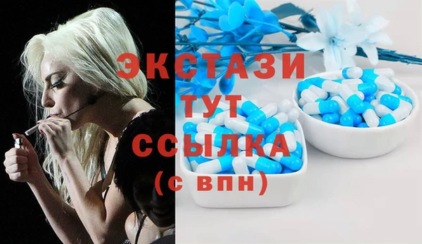 крисы Верхний Тагил
