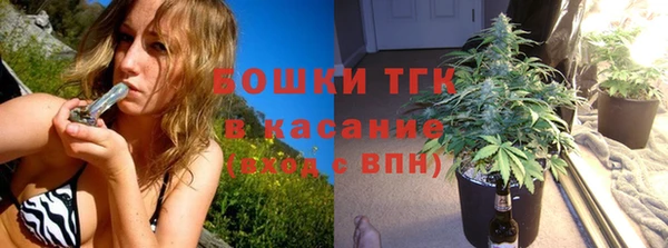 крисы Верхний Тагил