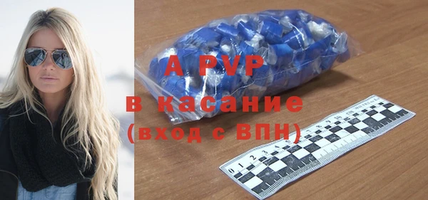 спиды Бородино