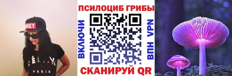 как найти   Кашин  Псилоцибиновые грибы мицелий 